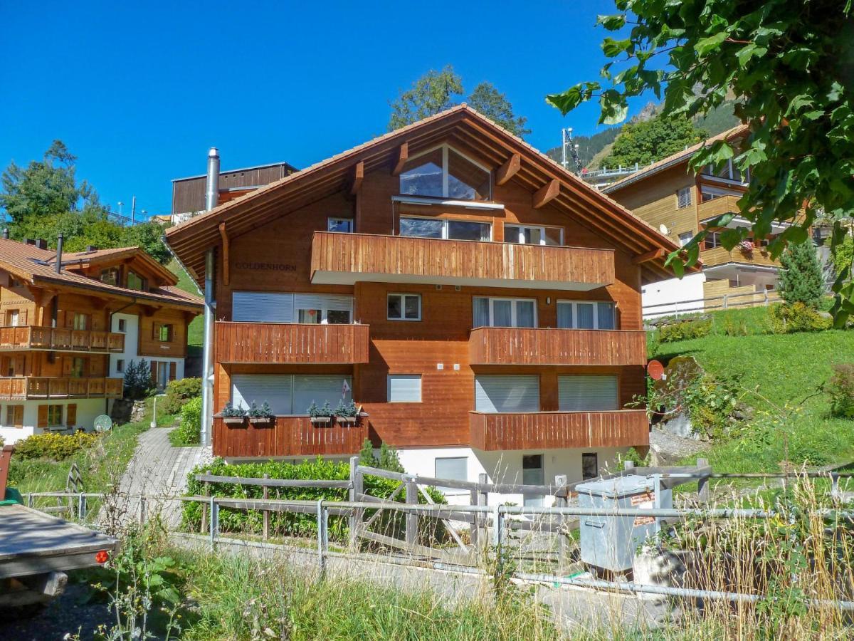 Apartment Goldenhorn Apt-F By Interhome Wengen Bagian luar foto
